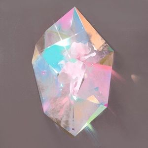 Meet your Posher, Bingxin